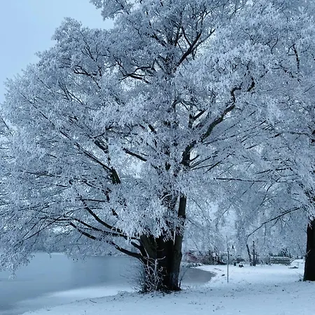 Seeschwalbe Classic 306 Σπίτι διακοπών Mirow