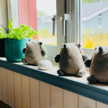 Seeschwalbe Classic 306 Mirow